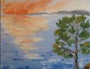 13.pin au soleil couchant