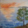 13.pin au soleil couchant
