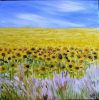 18.le champs de tournesols