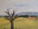 23.arbre mort vers le cabanon