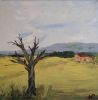 23.arbre mort vers le cabanon