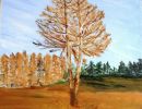 30.meleze en automne