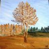 30.meleze en automne
