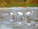 37.flamands sur etang de villepey