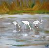 37.flamands sur etang de villepey
